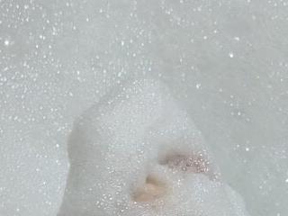 Alaskamisa