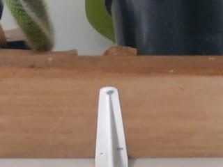 ftmphilip
