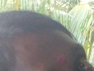 mamakarma1403