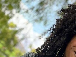 puca ebony