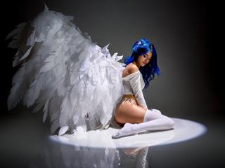 blue kitten