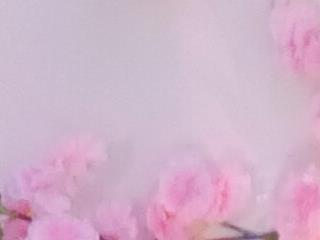 katty 8