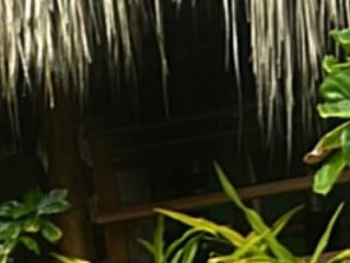 MariaIsabella8