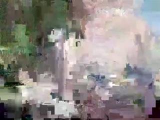 Amelia Profile Picture