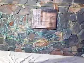 pablouyu Profile Picture